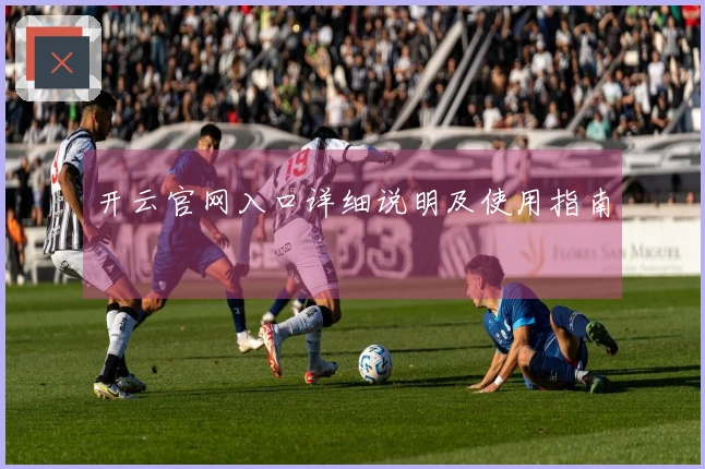 开云官网入口详细说明及使用指南